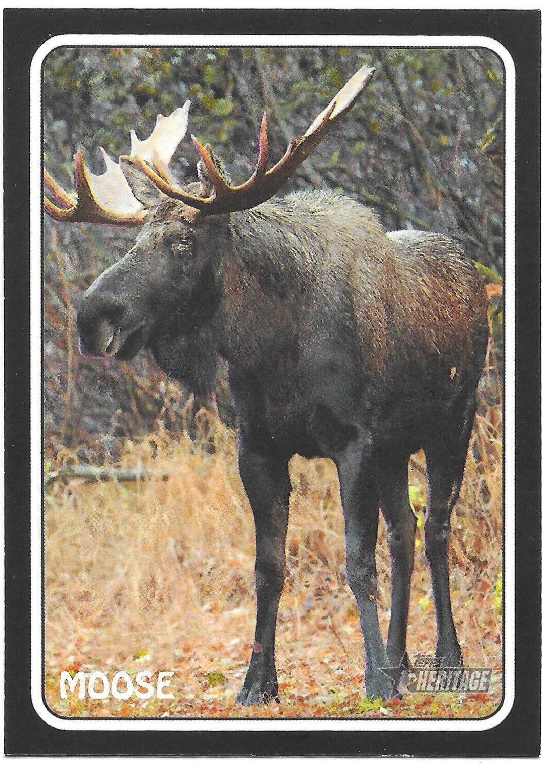 Moose #75Z-15 Baseball Cards 2024 Topps Heritage Zoo's Who Stick-On