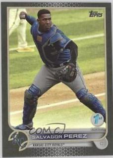 Salvador Perez