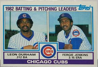 Cubs Leaders