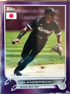 Tim Anderson