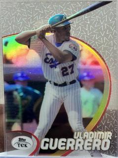 Vladimir Guerrero