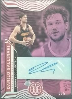 Danilo Gallinari