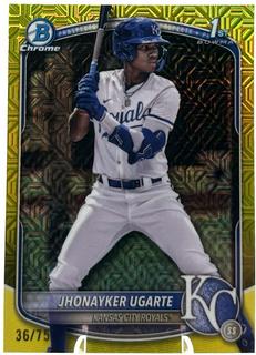Jhonayker Ugarte