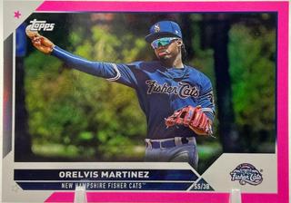 Orelvis Martinez