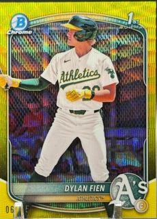 Dylan Fien