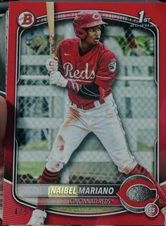 Naibel Mariano