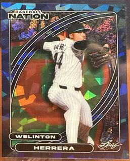 Welinton Herrera