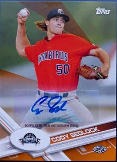 Cody Sedlock