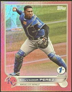 Salvador Perez