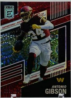 Antonio Gibson