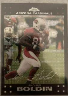 Anquan Boldin