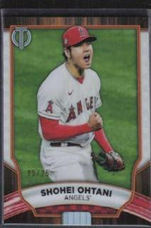 Shohei Ohtani