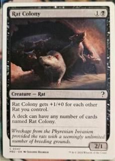 Rat Colony