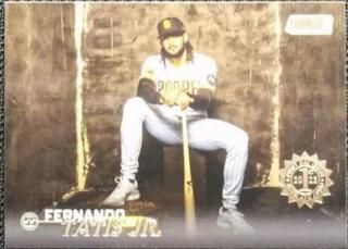 Fernando Tatis Jr.