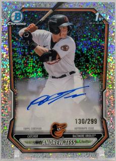 Andrew Tess