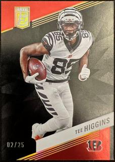 Tee Higgins