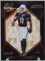 Larry Fitzgerald