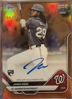James Wood