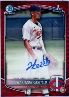 Haritzon Castillo