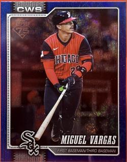 Miguel Vargas