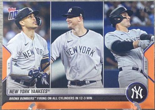 New York Yankees [Orange] #366