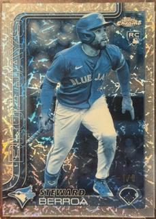 Steward Berroa