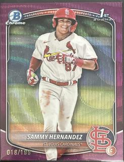 Sammy Hernandez