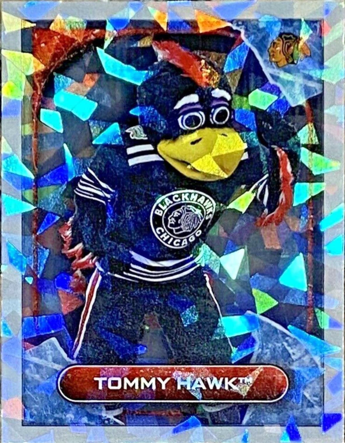 Tommy Hawk [Foil] #152