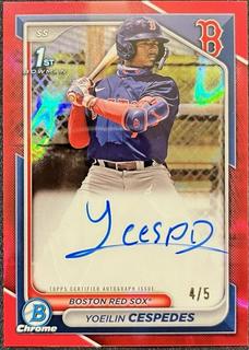 Yoeilin Cespedes