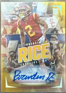 Brenden Rice