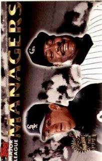 Gene Lamont / Don Baylor