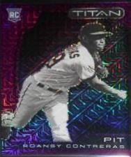 Roansy Contreras