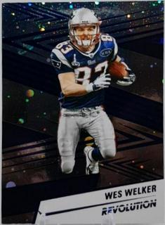 Wes Welker
