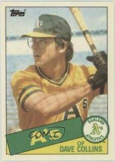 Dave Collins