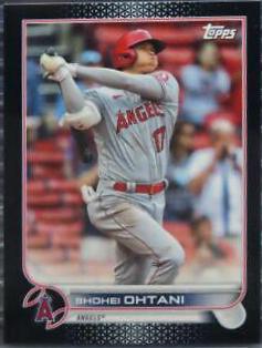 Shohei Ohtani