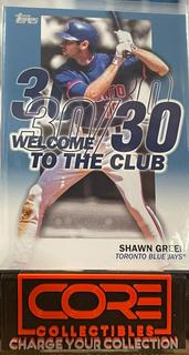 Shawn Green