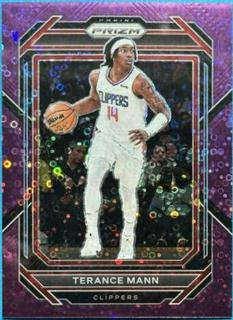 Terance Mann