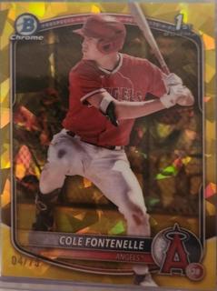 Cole Fontenelle