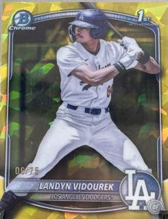 Landyn Vidourek