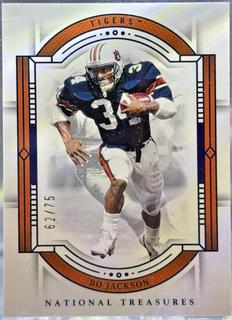 Bo Jackson