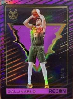 Danilo Gallinari