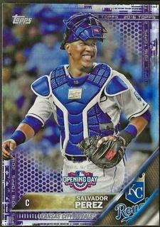 Salvador Perez