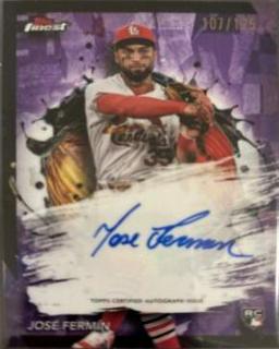 Jose Fermin
