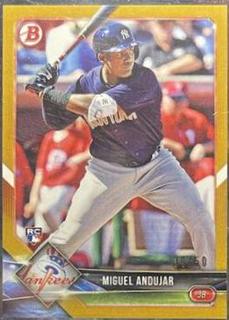 Miguel Andujar