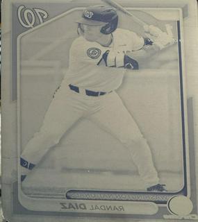 Randal Diaz