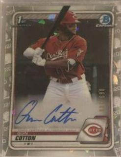 Quin Cotton