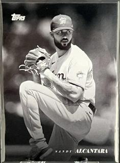 Sandy Alcantara