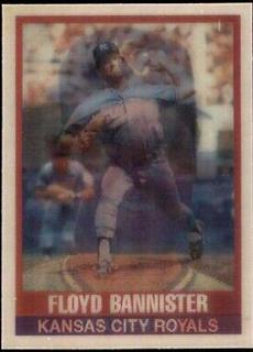 floyd bannister
