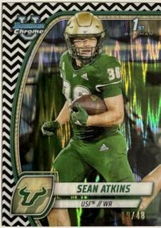 Sean Atkins