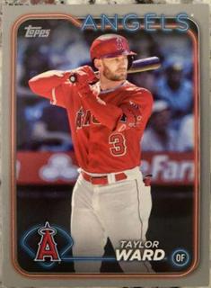 Taylor Ward